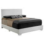 Aaron Upholstered Queen Panel Bed