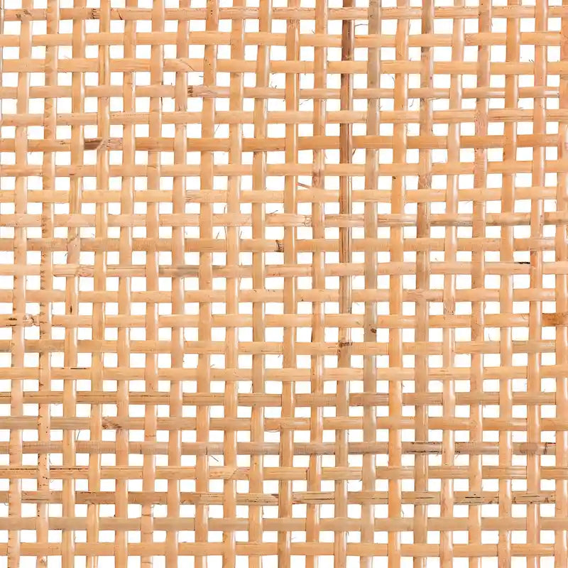 Abelia Modern Bohemian Natural Rattan and Mahogany Wood Accent Bench