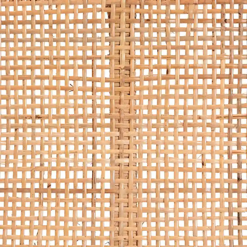 Abelia Modern Bohemian Natural Rattan and Mahogany Wood Accent Bench