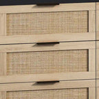43.316-Drawers Rattan Storage Cabinet Rattan Drawer,for Bedroom,Living Room,Black