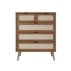 5-Drawer Accent Storage Cabinet