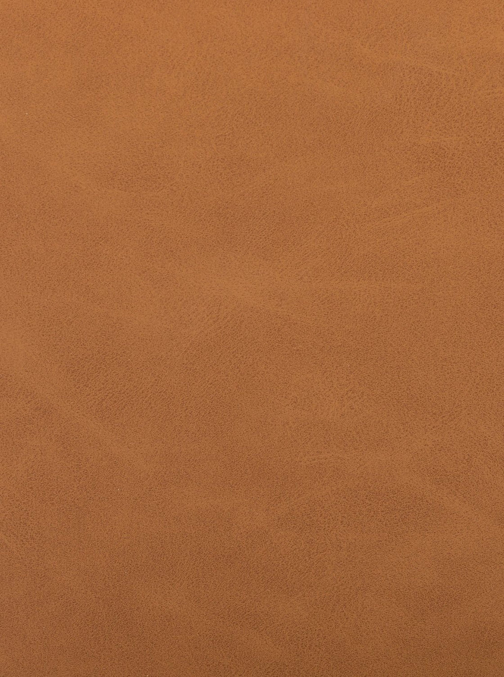 Alto Dining Chair - Upholstered, Leather