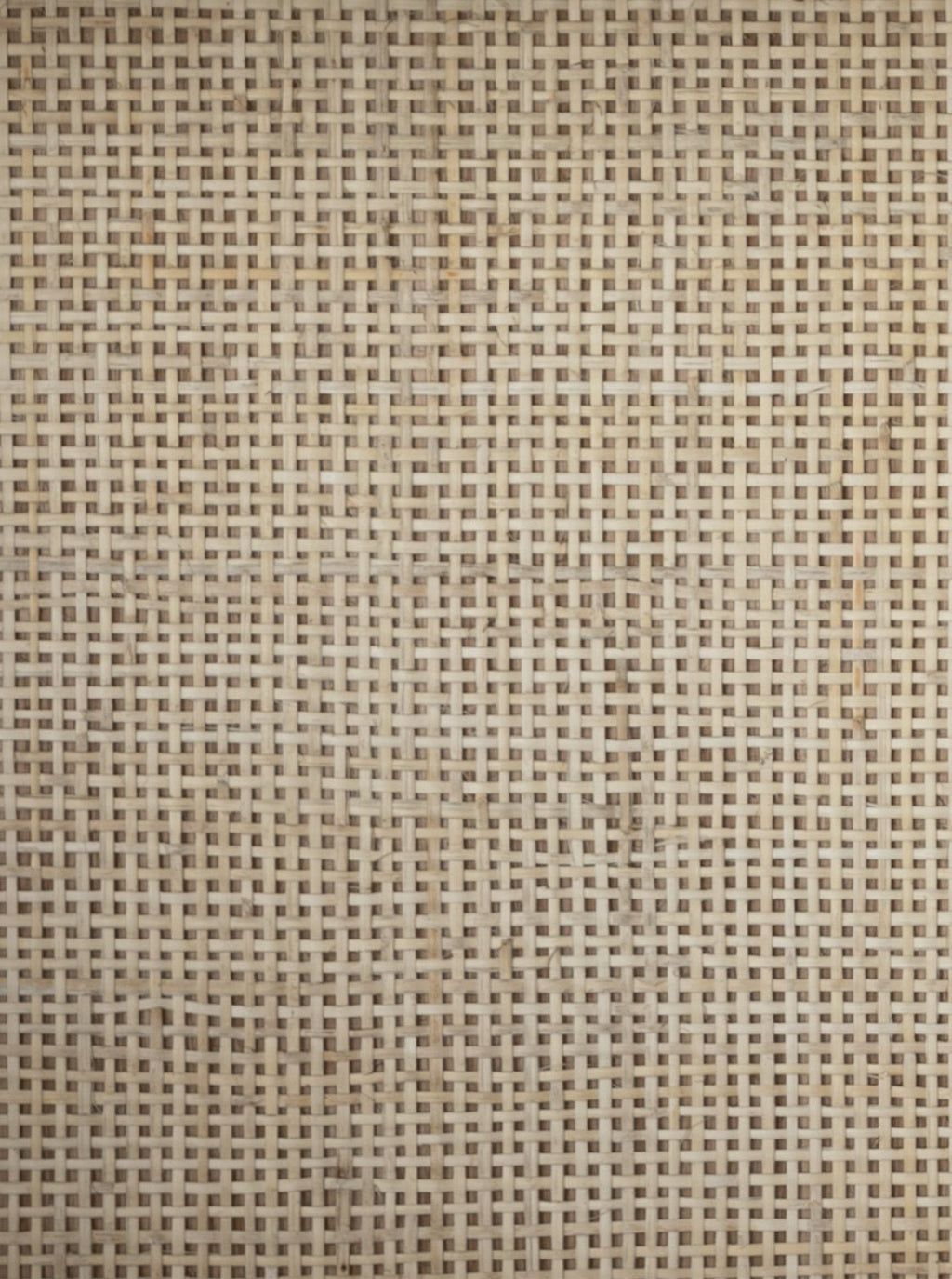 Amelie Bookcase - Oak Wood