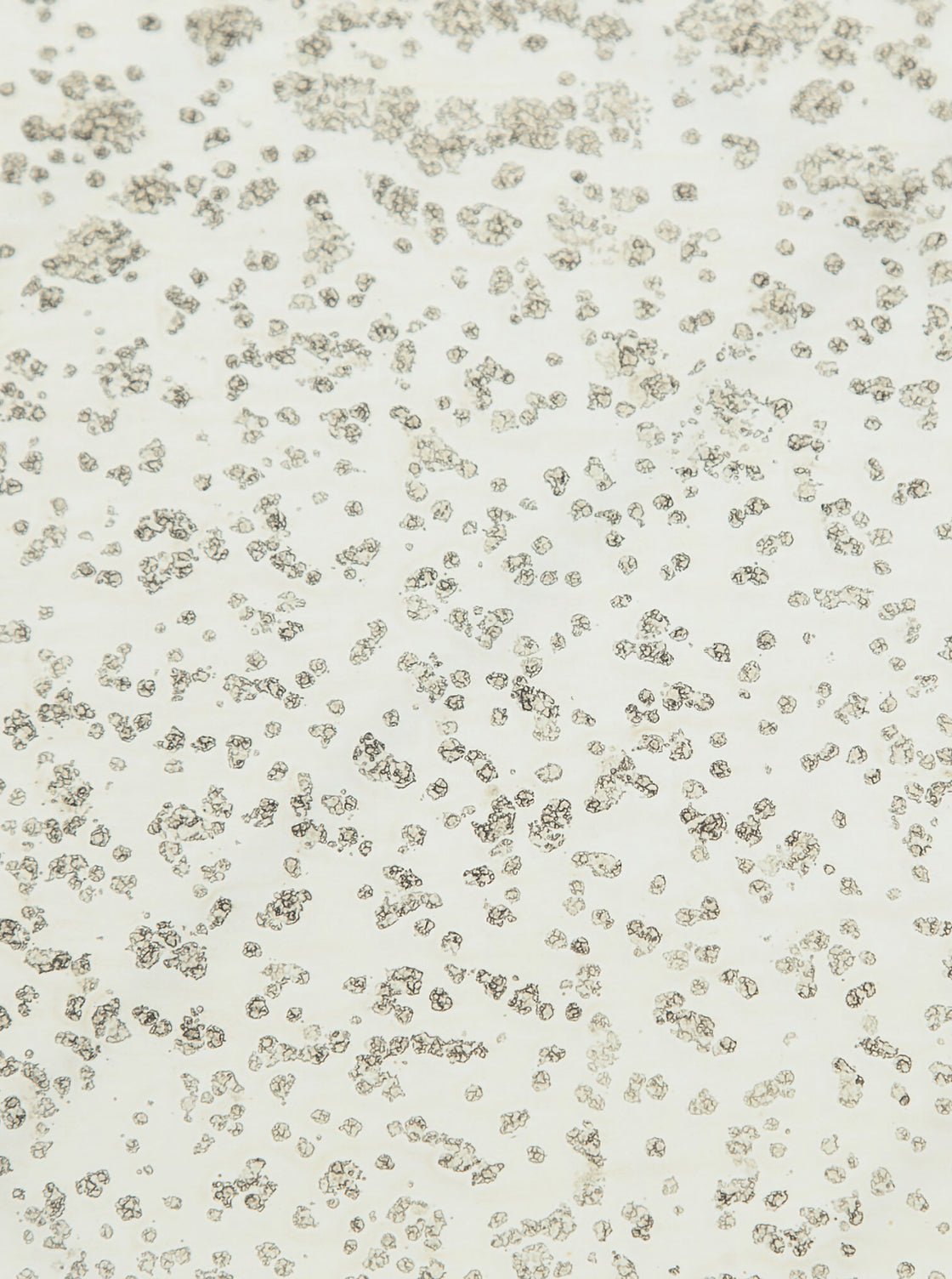 Bridger Side Table - Ash Wood, Glass Top