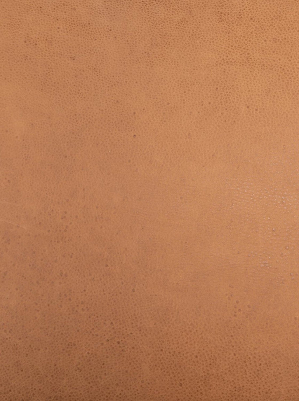 Chapman Dining Chair