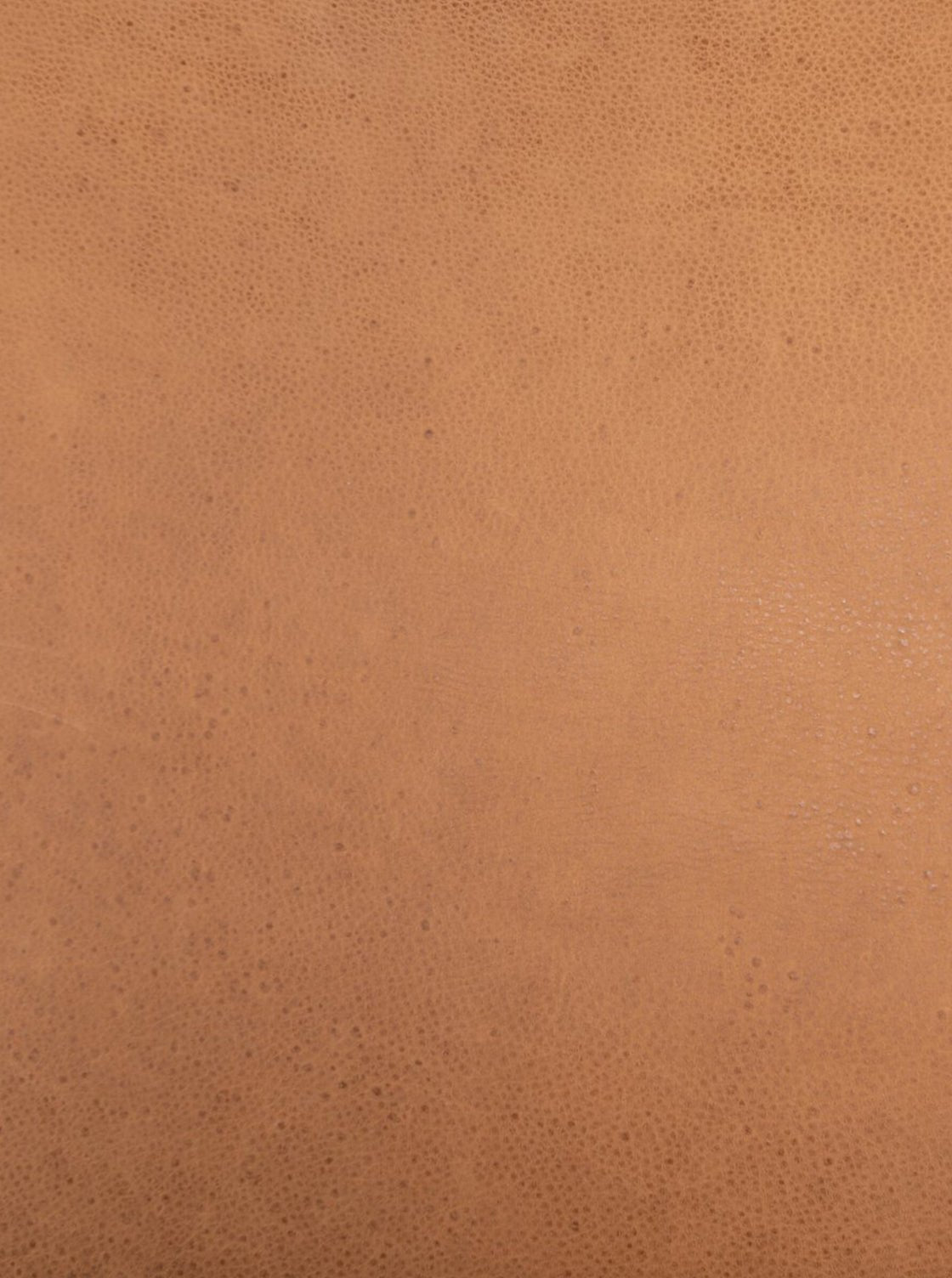 Chapman Dining Chair