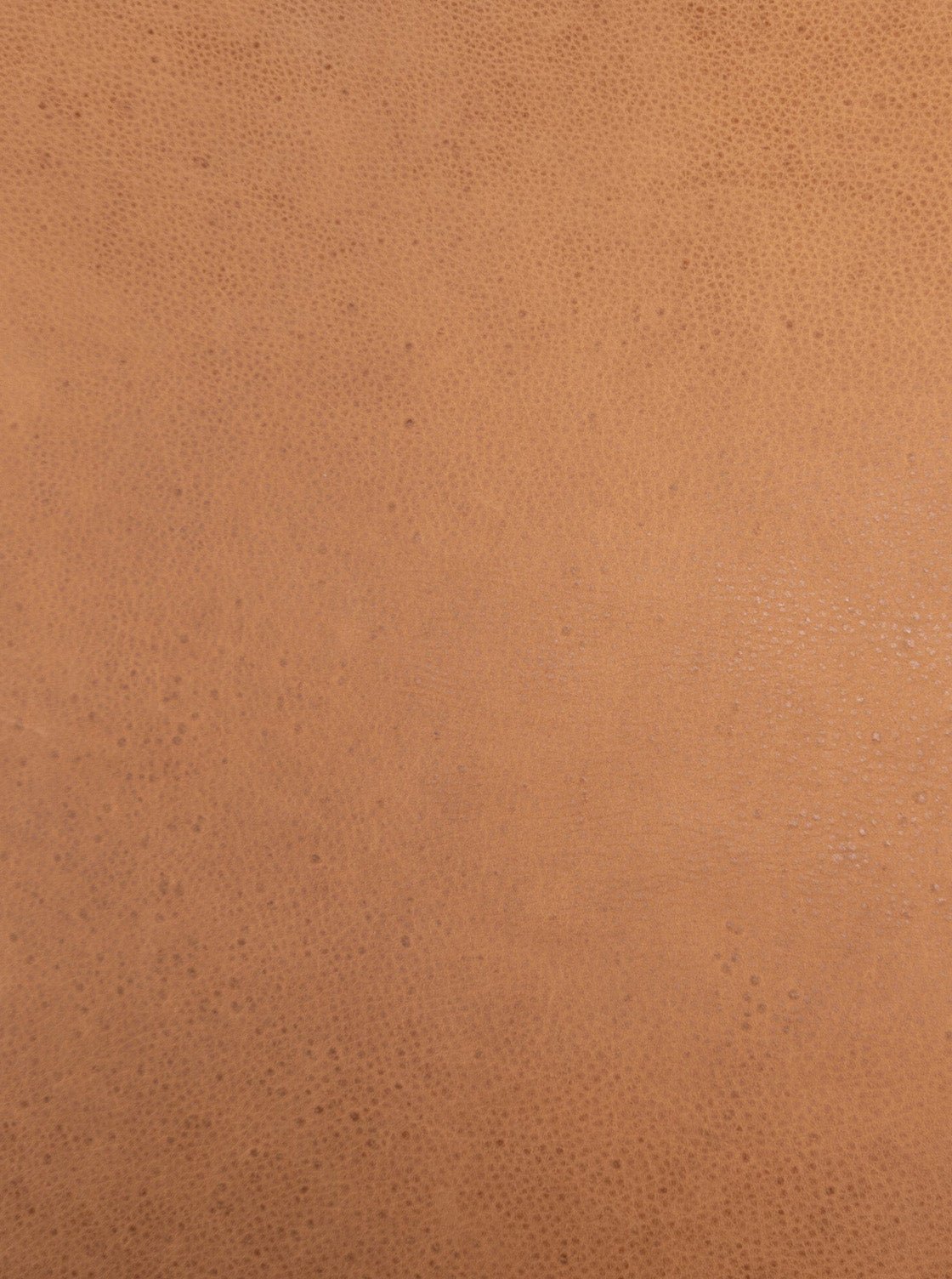 Mozart Dining Chair - Upholstered, Leather